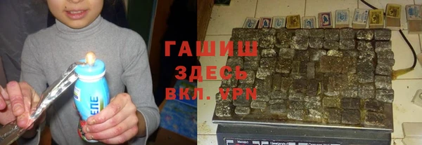 гашик Алексин