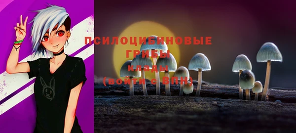 гашик Алексин