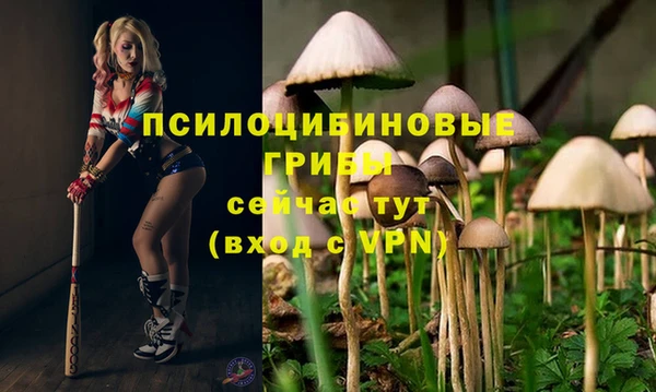 героин Арсеньев