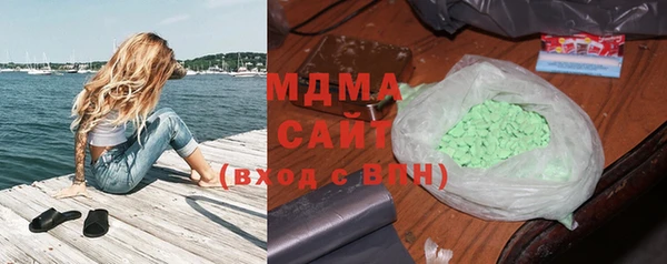 гашик Алексин