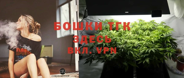 тгк Армянск