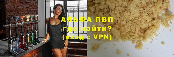 гашик Алексин