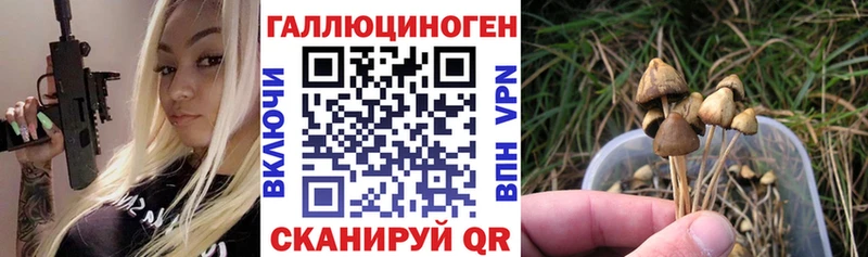Галлюциногенные грибы ЛСД  Можга 