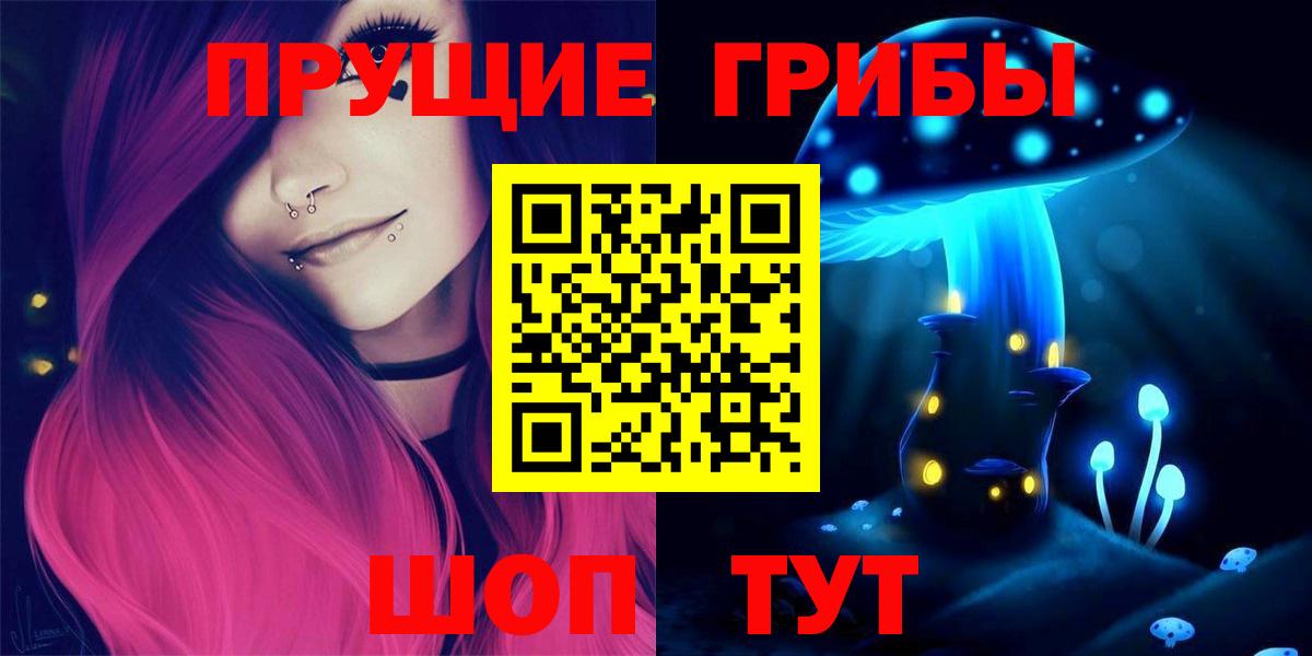 Можга  Псилоцибиновые грибы Psilocybine cubensis  Вход с VPN 